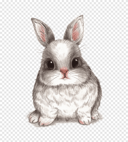 Кролик рисунок