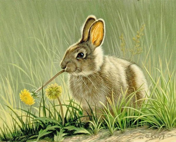 Художник - анималист Paul Krapf