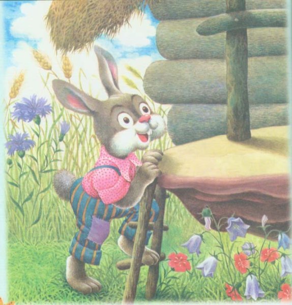 Заяц из сказки