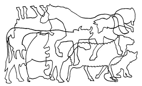 Животные задания для дошкольников