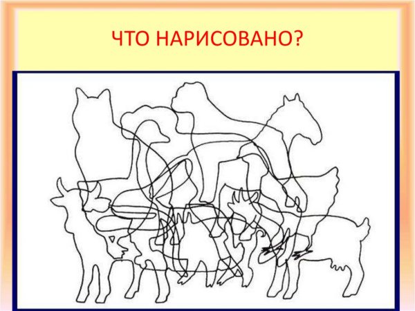 Сколько животный на картинке
