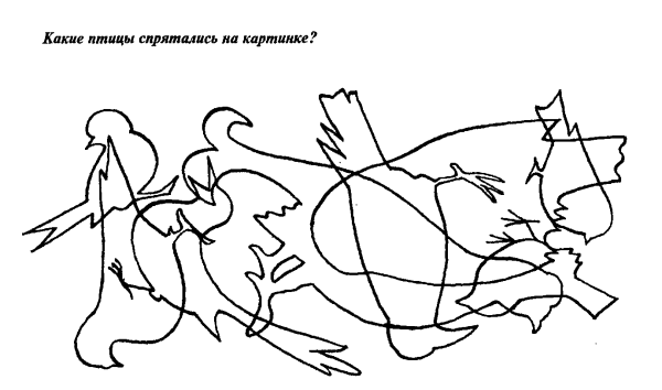 Какие птицы спрятались на картинке