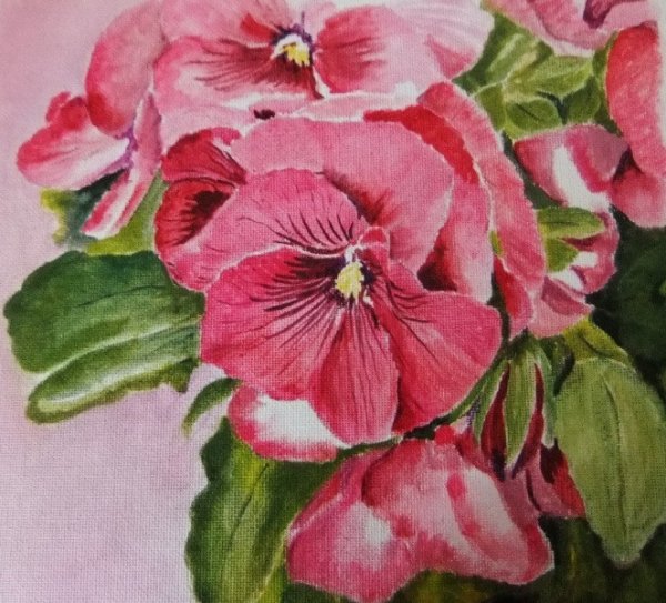 Бальзамин акварель