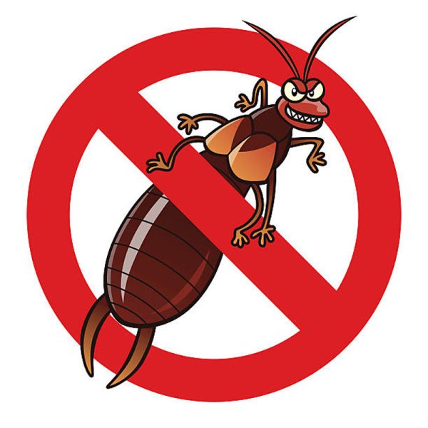 Уховертка вектор