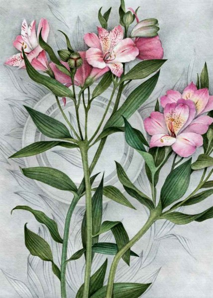 Альстромерии акварелью
