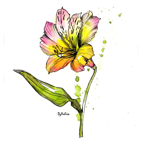 Ольга Гудзера Ботанические акварели