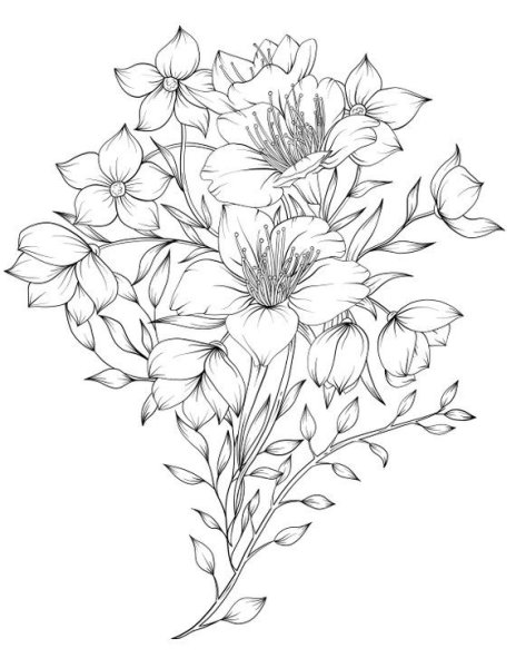 Ботанические мотивы