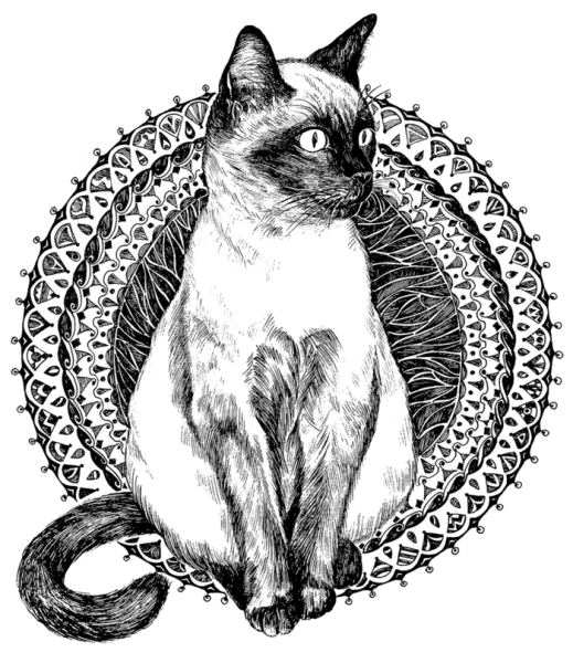 Кошка в графике