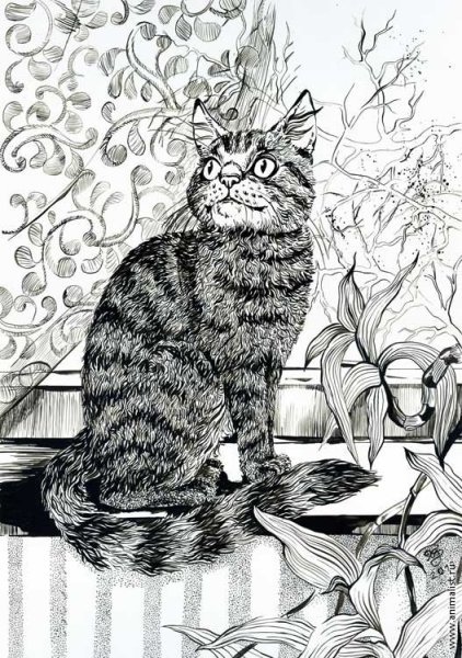 Кот Графика