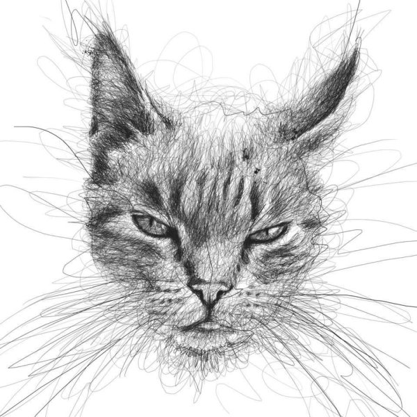 Кошка Графика эскиз