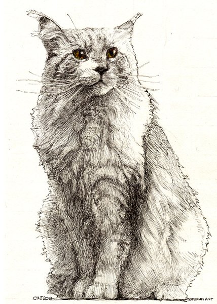 Кошечка Графика