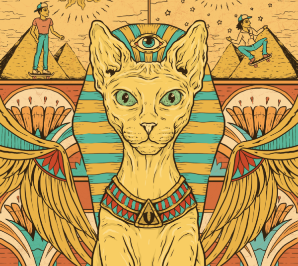 Кот сфинкс фараон