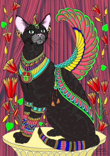 Египетская кошка Асида