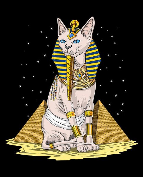 Египетская кошка Анкха