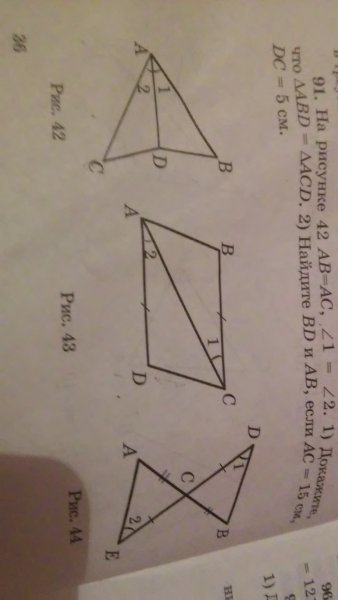 Запишите все лучи изображенные на рисунке