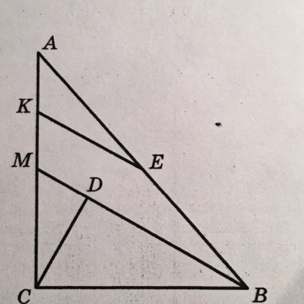 Найдите длину неизвестного отрезка х на рисунке