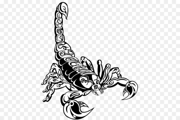 Тату Скорпион