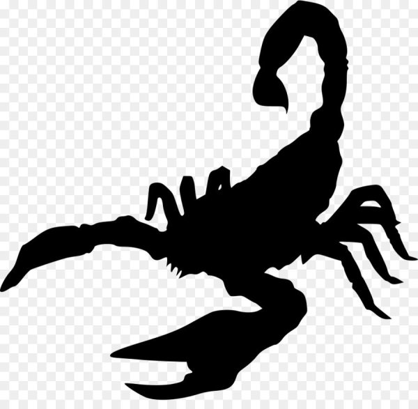 Скорпион силуэт