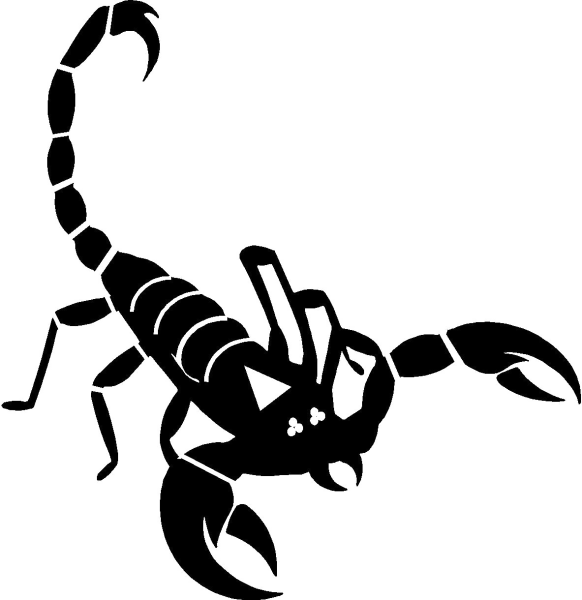 Скорпион вектор