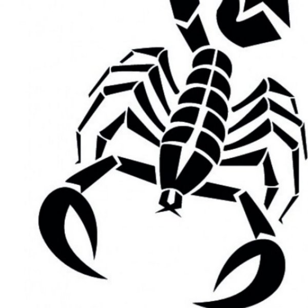 Скорпион векторное изображение