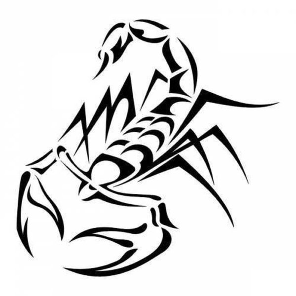 Скорпион эскиз