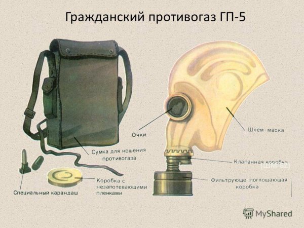 Фильтрующий противогаз ГП-5 состоит из