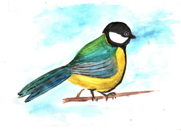 Рисование синички