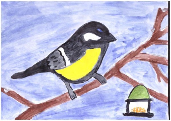 Зимующие птицы Башкирии