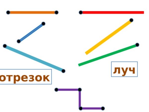 Луч отрезок прямая 1 класс задания