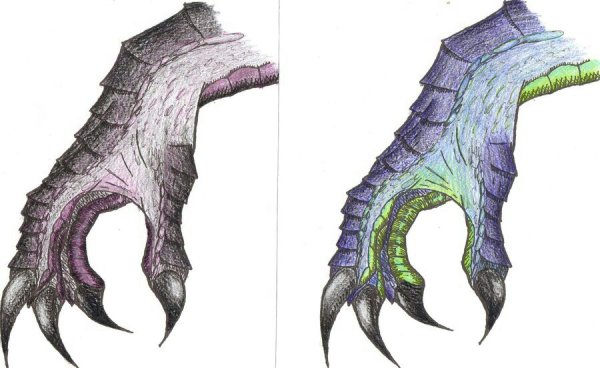 Драконьи лапы