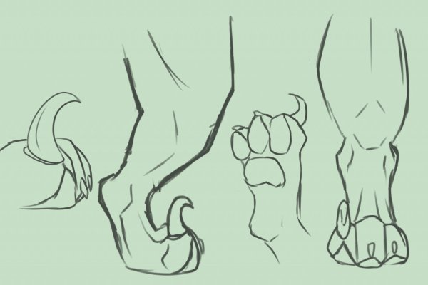 Лапы дракона референс