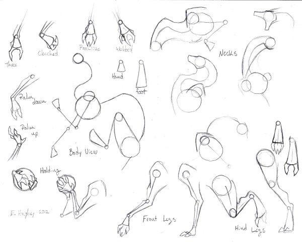 Драконьи лапы сбоку