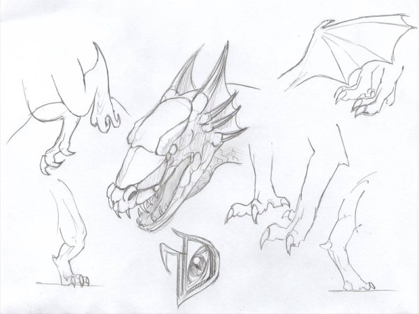 Драконьи лапы референс