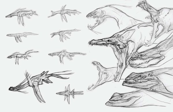 Лапы ящерицы референс