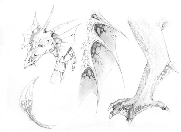 Лапы дракона референс