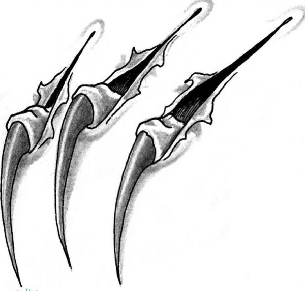 Лапы дракона туториал