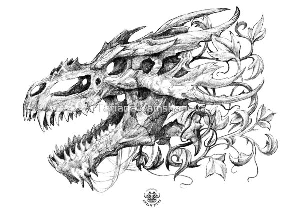 Череп дракона рисунок