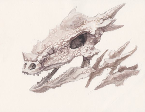 Грот череп дракона