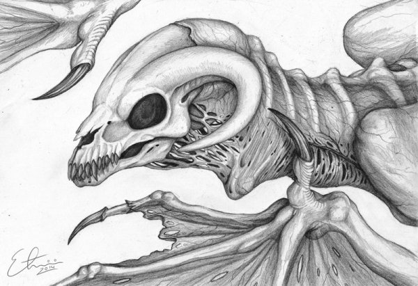 Скелет дракона карандашом
