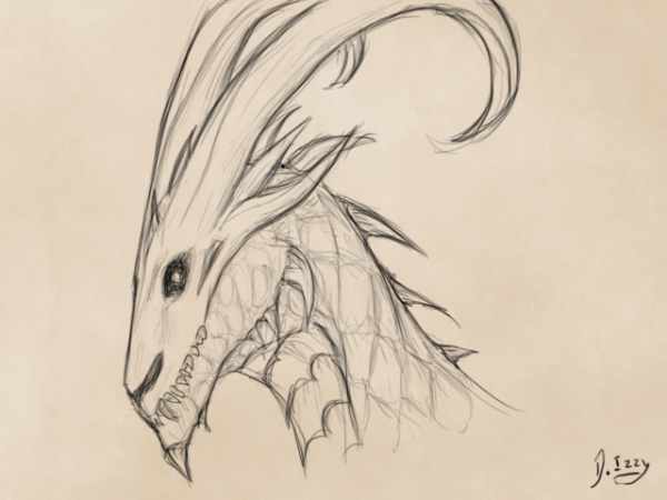 Череп дракона для срисовки