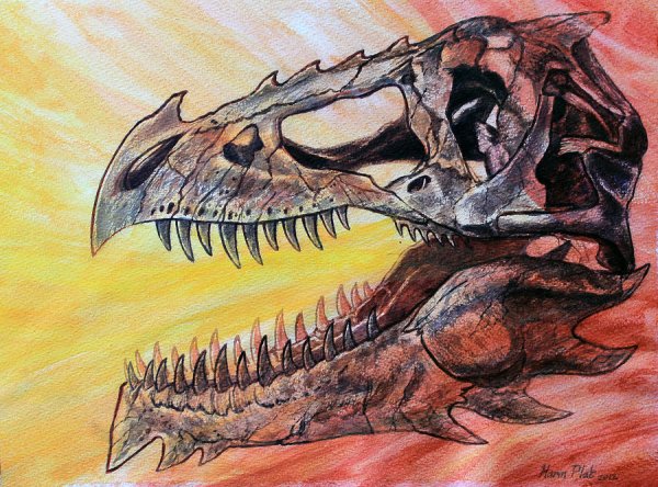 Череп дракона арт