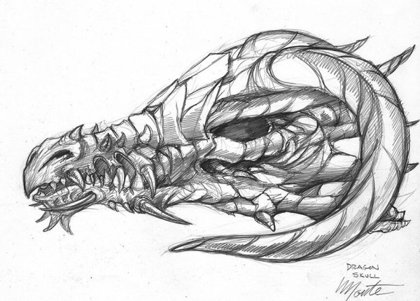 Череп дракона эскиз