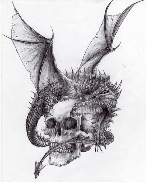 Череп дракона тату эскиз