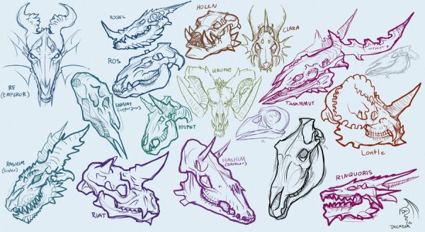 Череп дракона сбоку