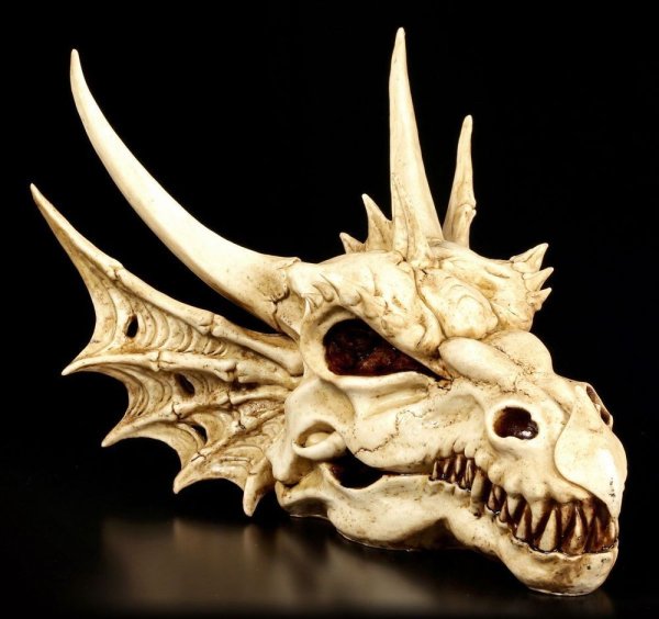 Череп дракона референс