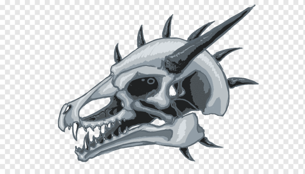 Череп дракона сбоку