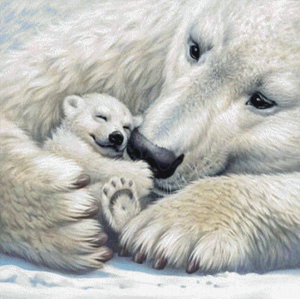 Белый медведь рисунок