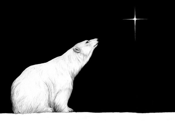 Белый медведь рисунок