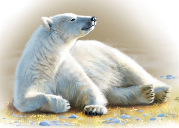 Полярный медведь вектор сбоку