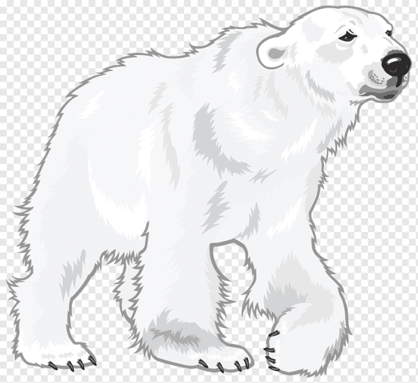 Открытка белый медведь